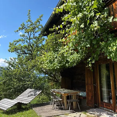 Weinrebenhuette