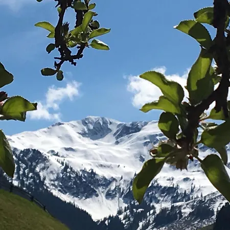 度假居 Weinrebenhuette