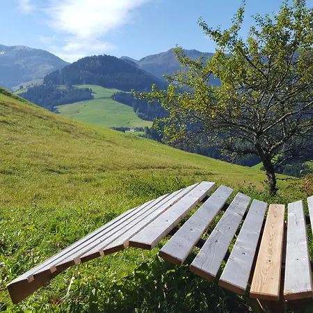 Weinrebenhuette * Wildschoenau