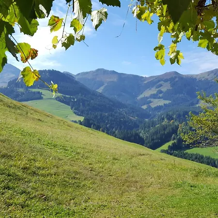 Weinrebenhuette Casa de Férias *